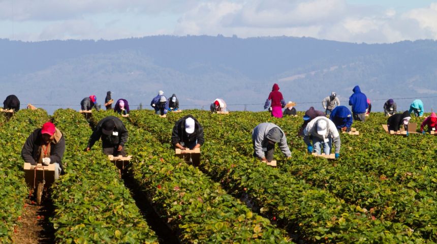 Lavoro. I migranti fanno guadagnare allo Stato 6,5 miliardi di euro