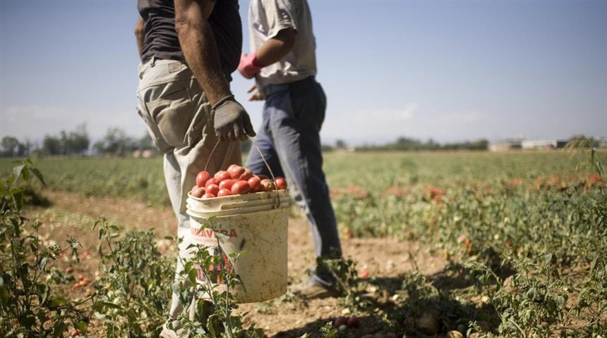 Ingressi per lavoro, il ritorno delle “regolarizzazioni mascherate”?