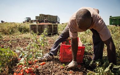 Azienda Agricola dello sciclitano contro il Caporalato